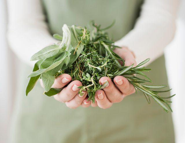 close up shot of woman holding herbs
