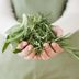 10 Herbs That Can Help Ease Stress