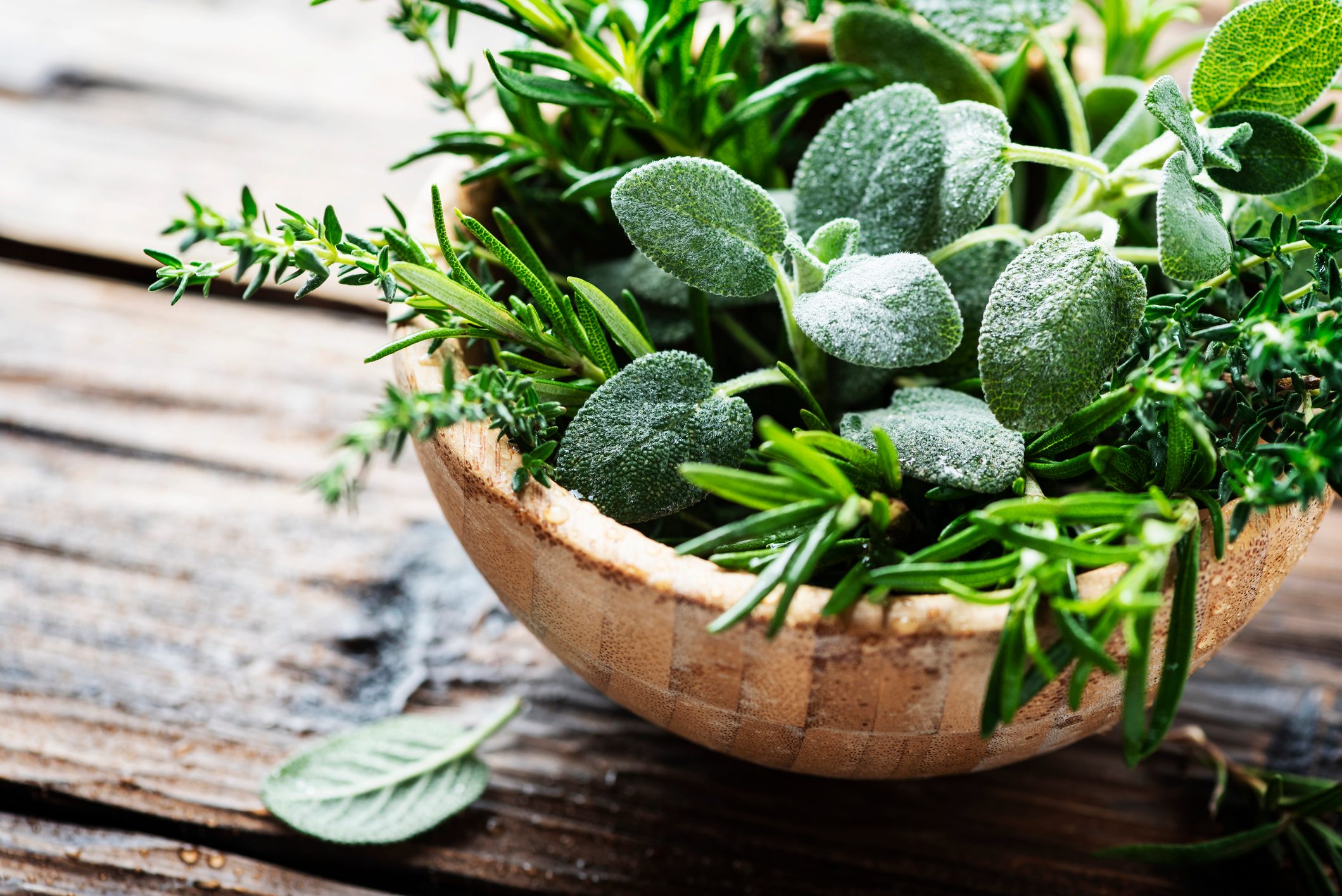 sage leaves in bowl with other herbs