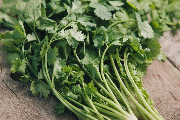 coriander leaves