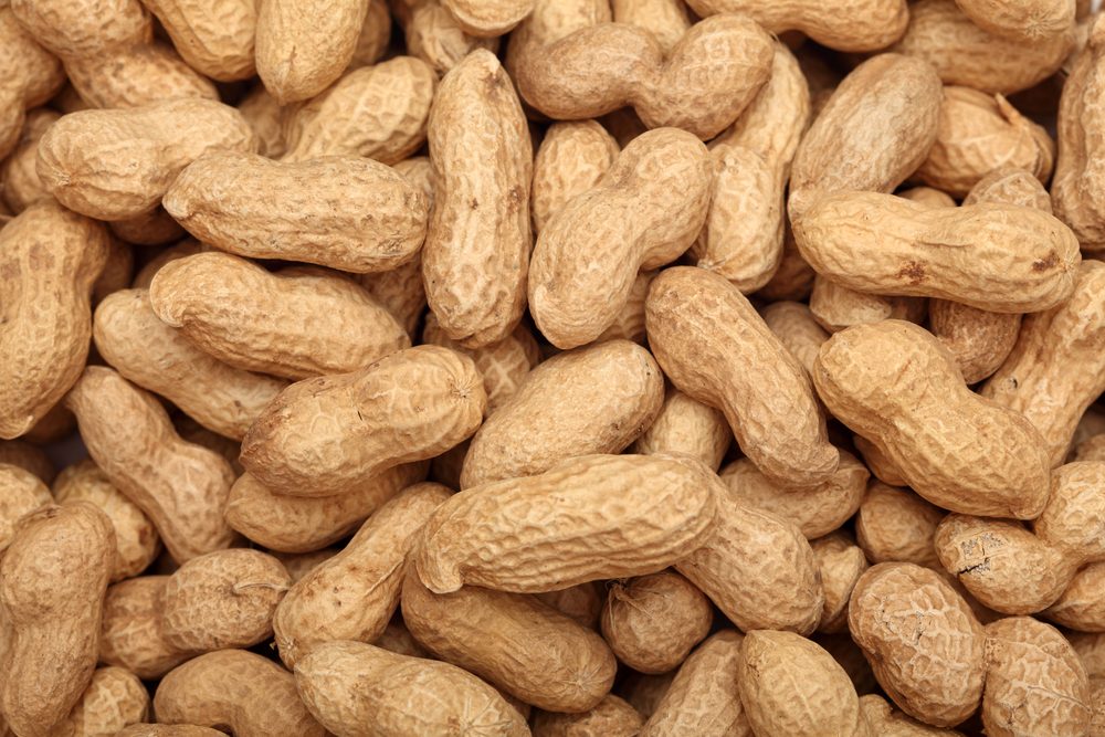 shelled peanuts