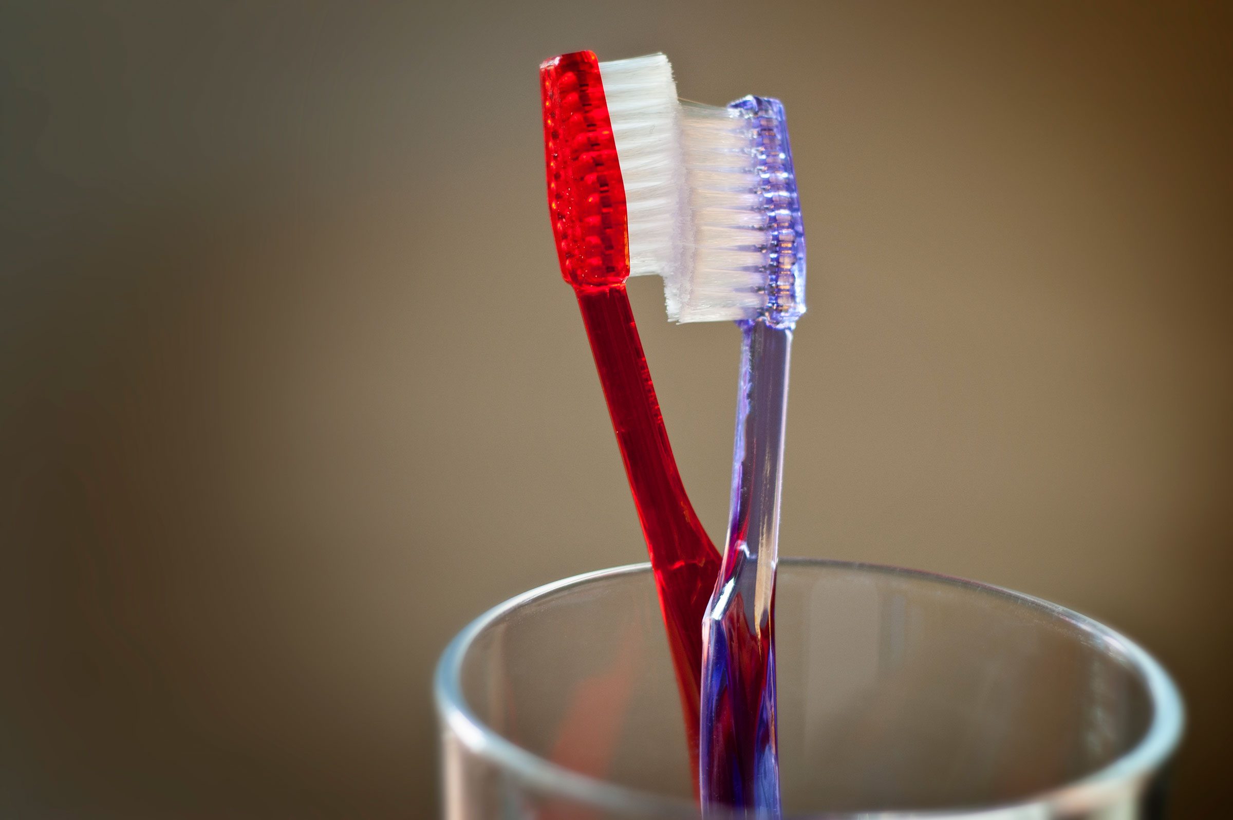red and purple toothbrushes in a glass