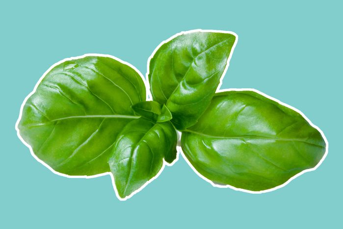 basil leaves