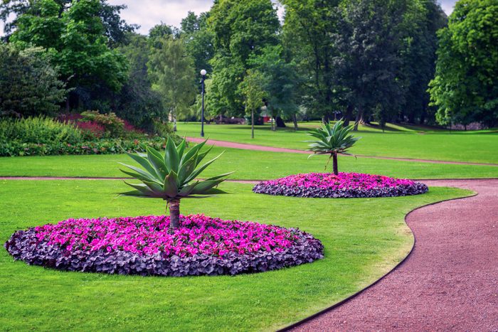 manicured landscape with trees, grass and flowers