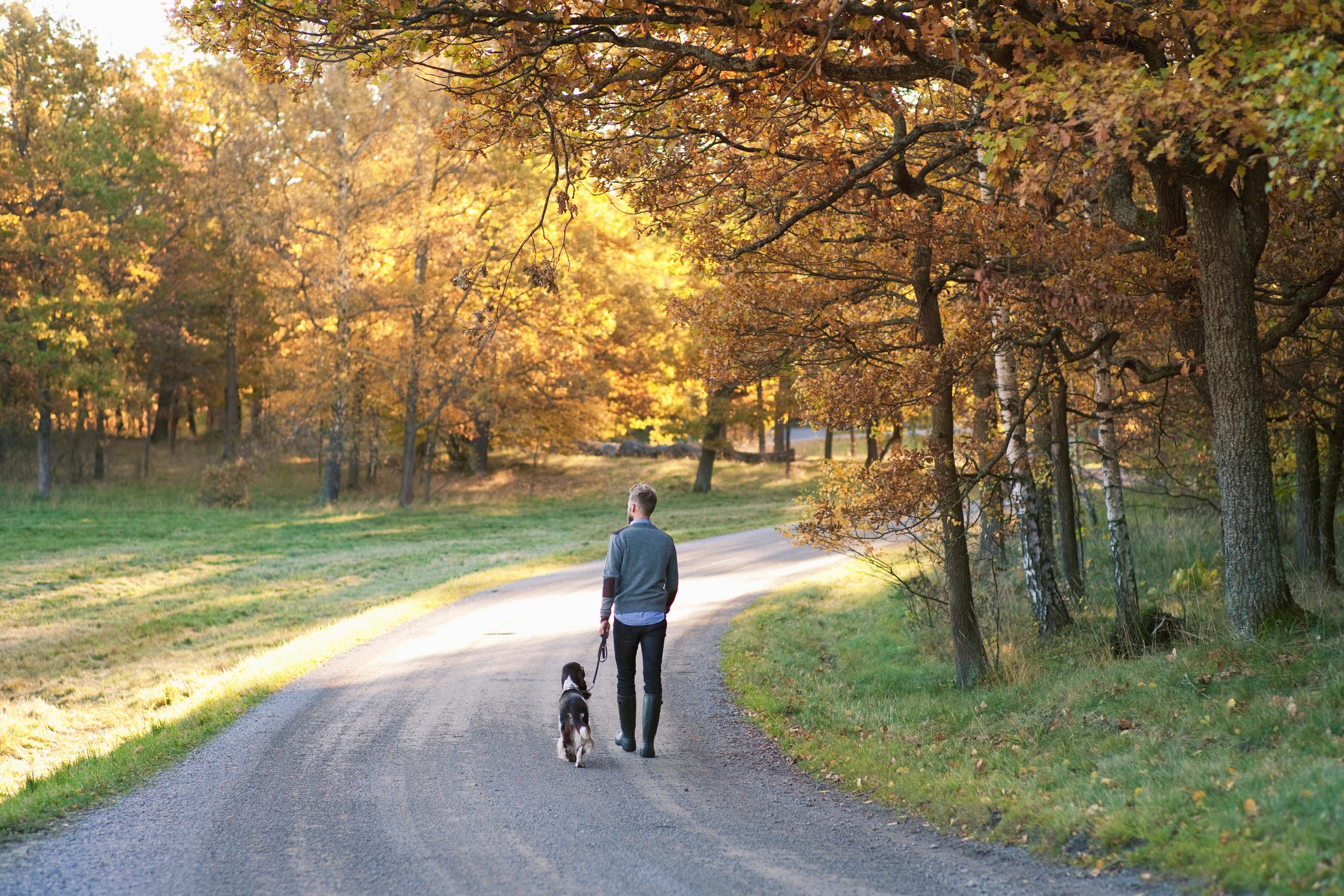 man walking with his dog through nature