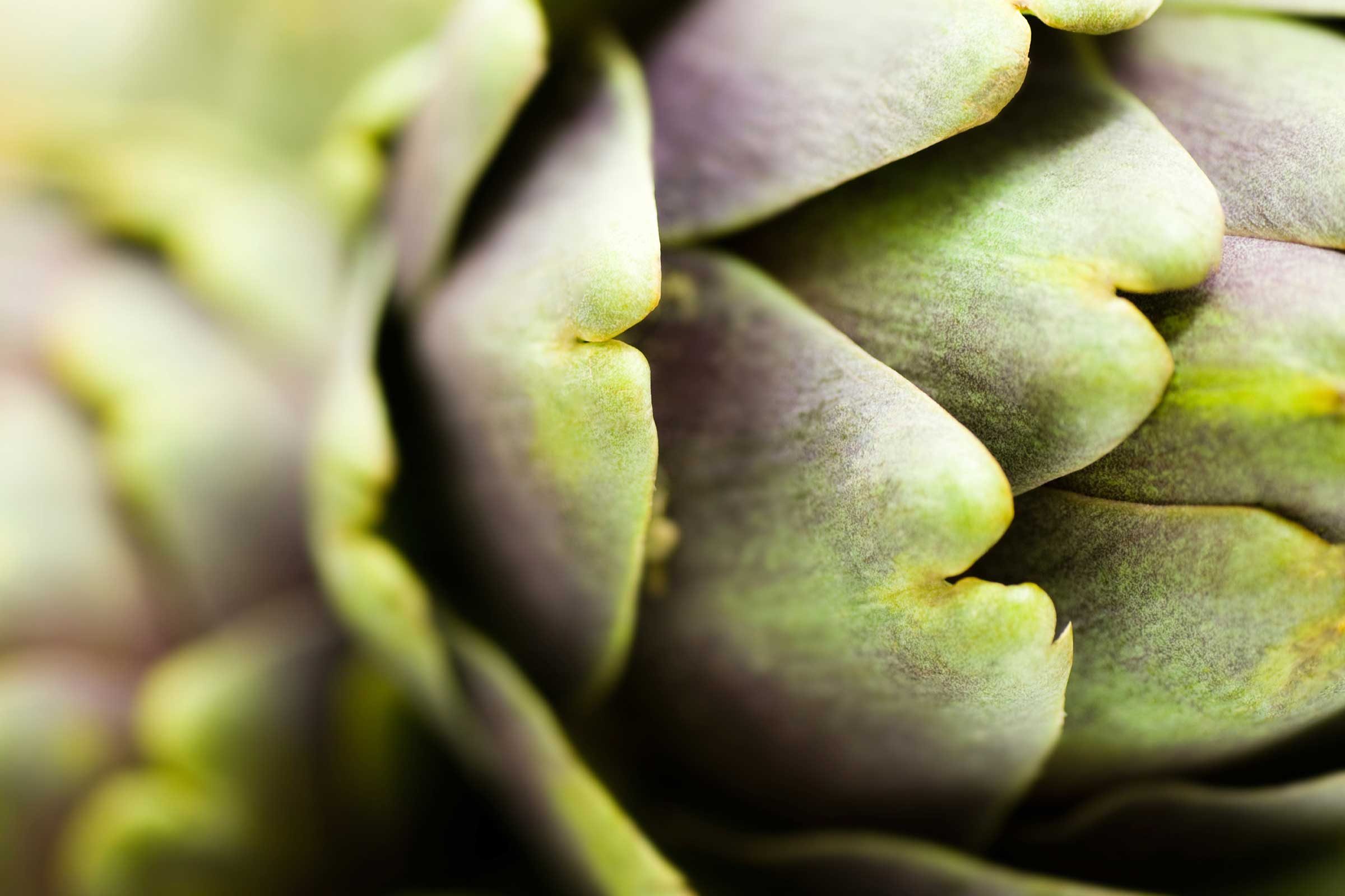 artichoke leaves