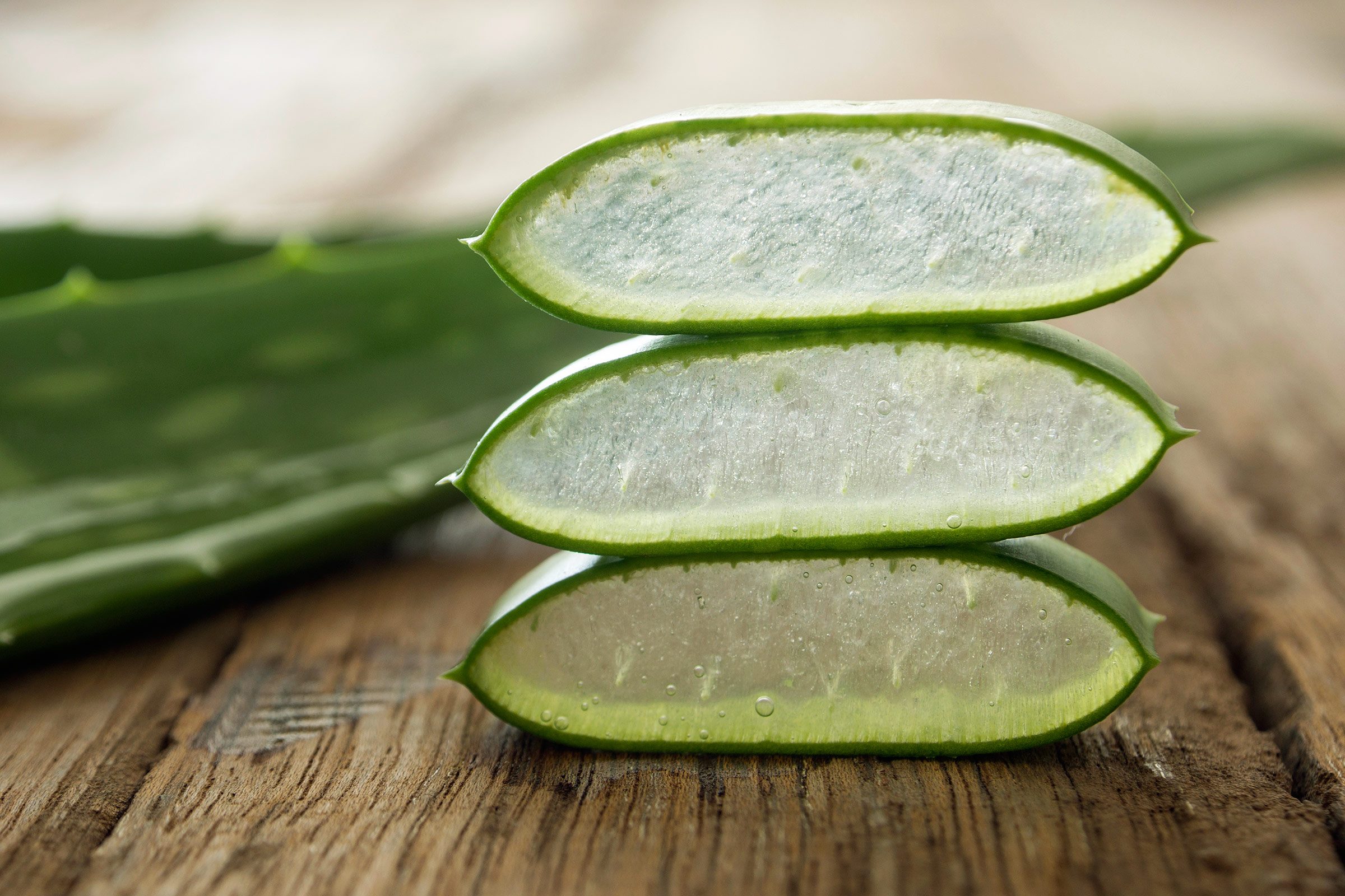 cut aloe leaves 