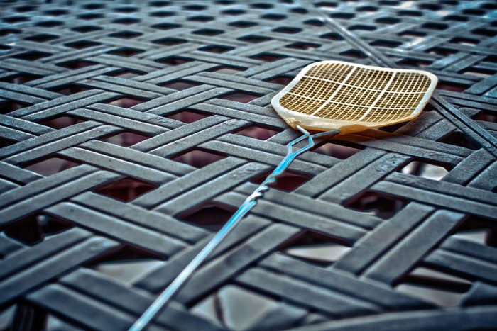 fly swatter