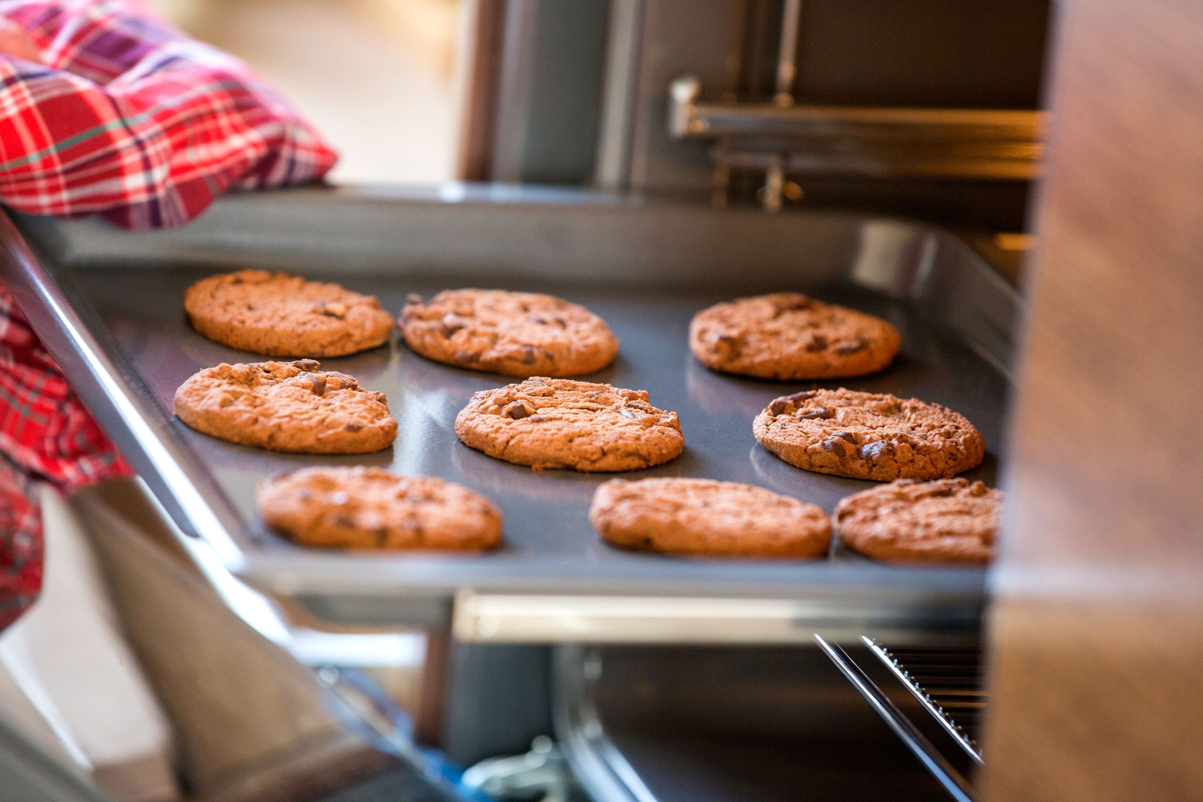 tray of chocolate chip cookies coming from the oven