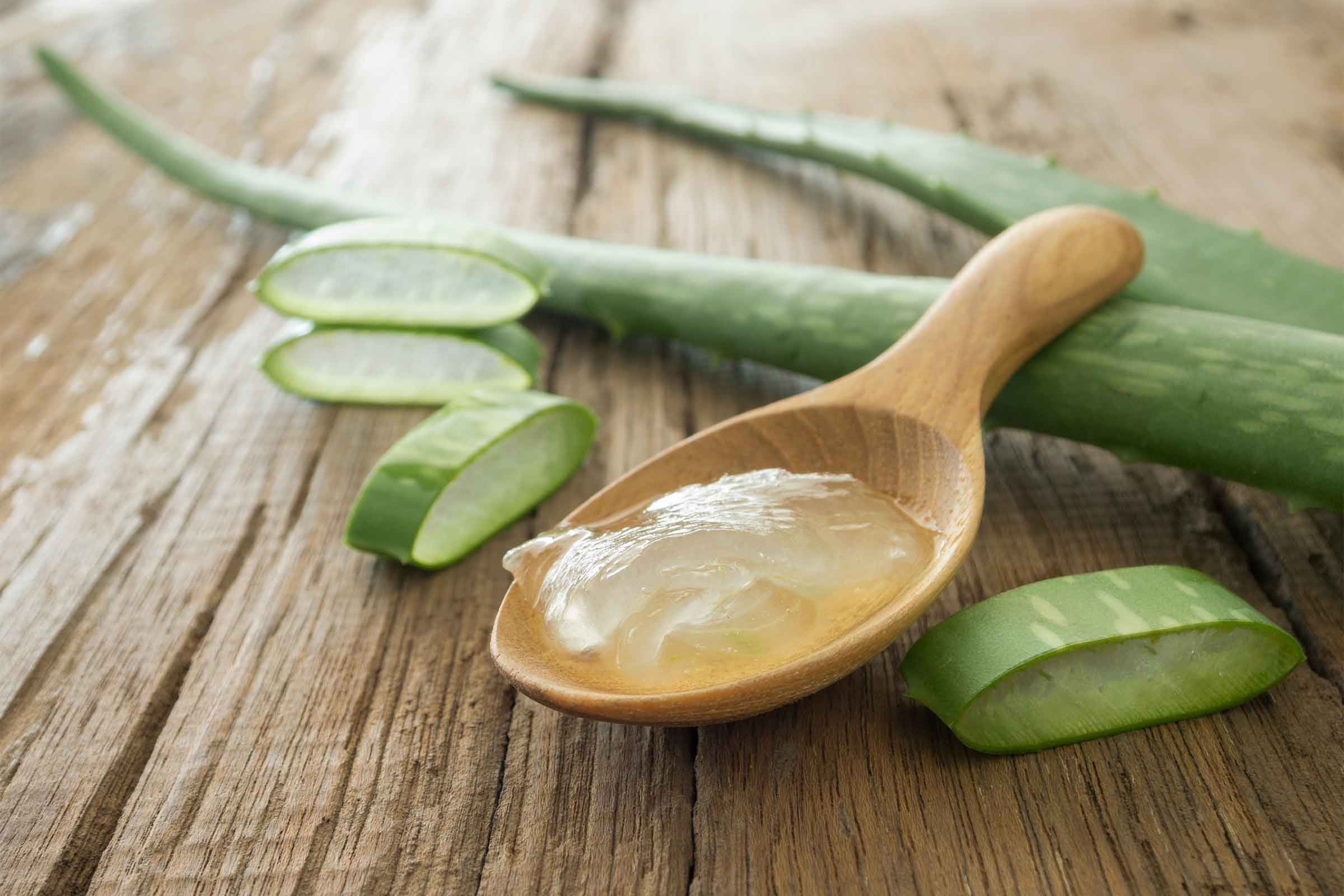 Aloe vera plant leaves and a wooden spoon.