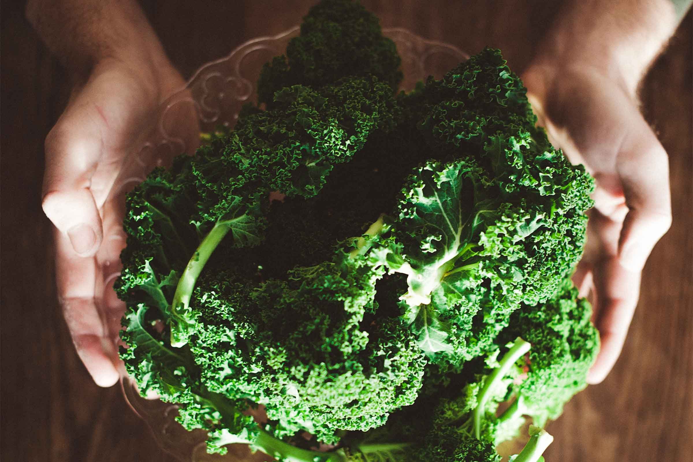 hands holding a bowl of leafy greens