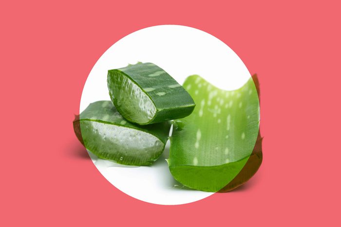 section of aloe vera stalk