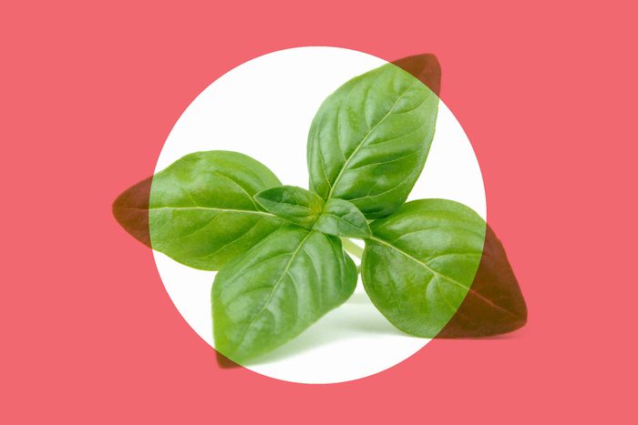 sprig of fresh basil