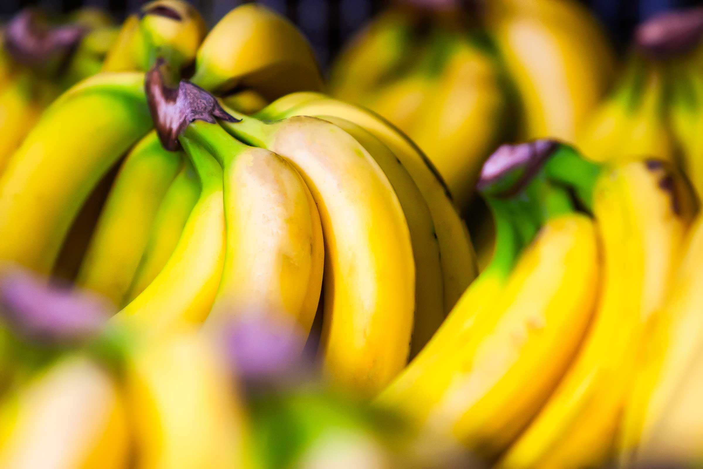 bunches of yellow bananas