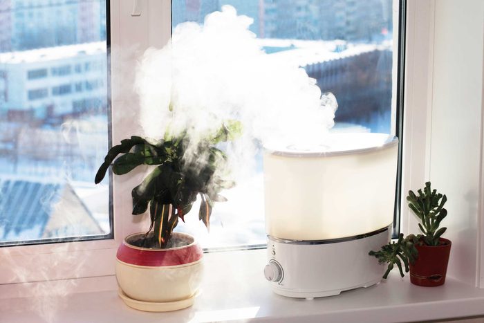 Vaporizer emitting steam.