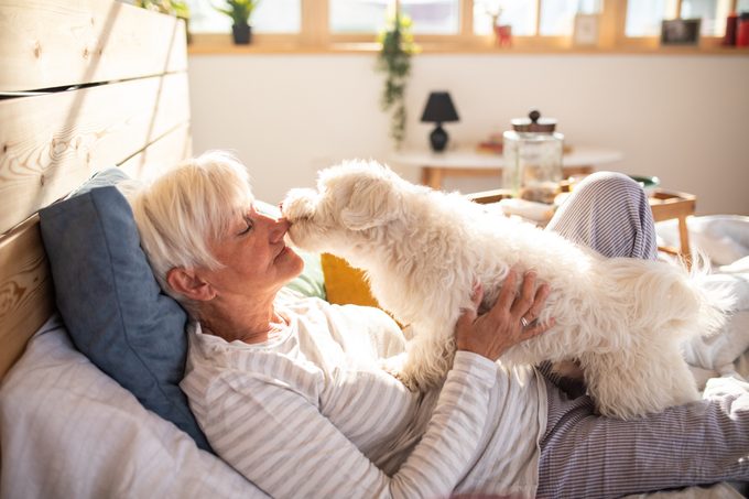senior woman laying in bed with her dog