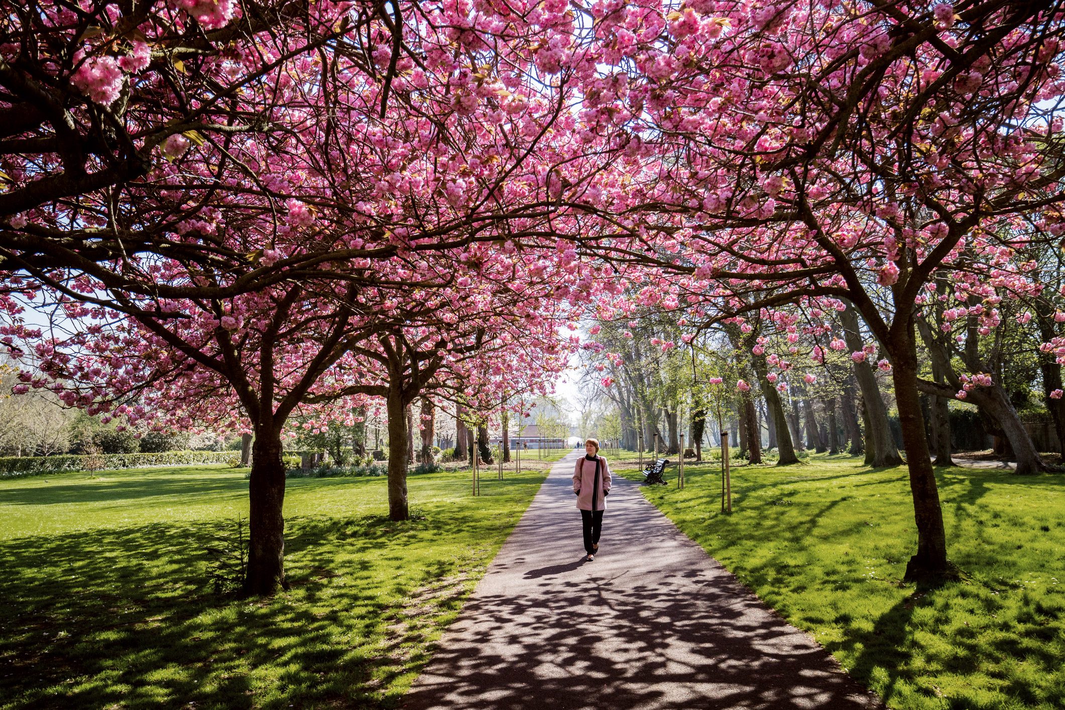 woman walking through the park