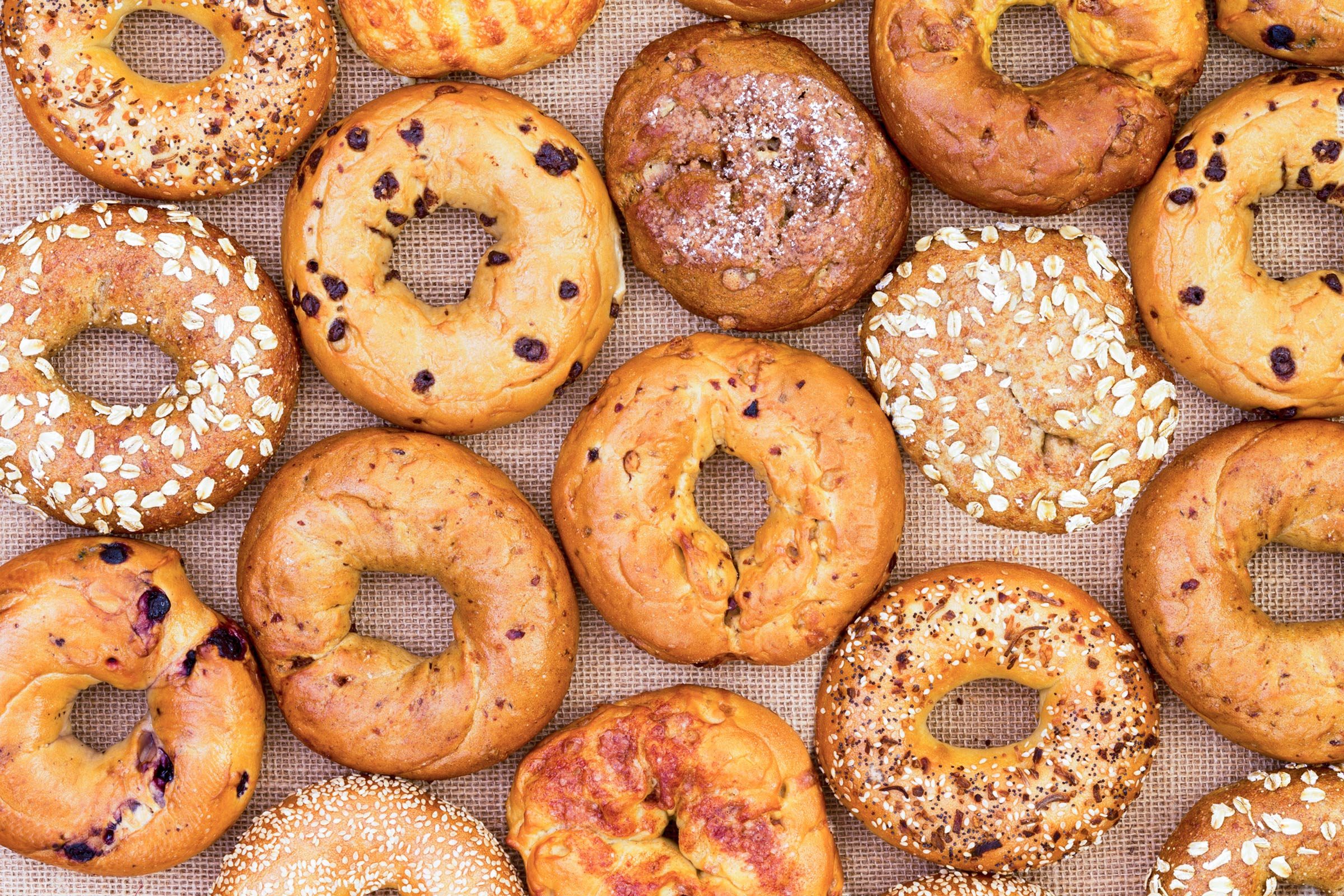 overhead shot of different bagel varieties