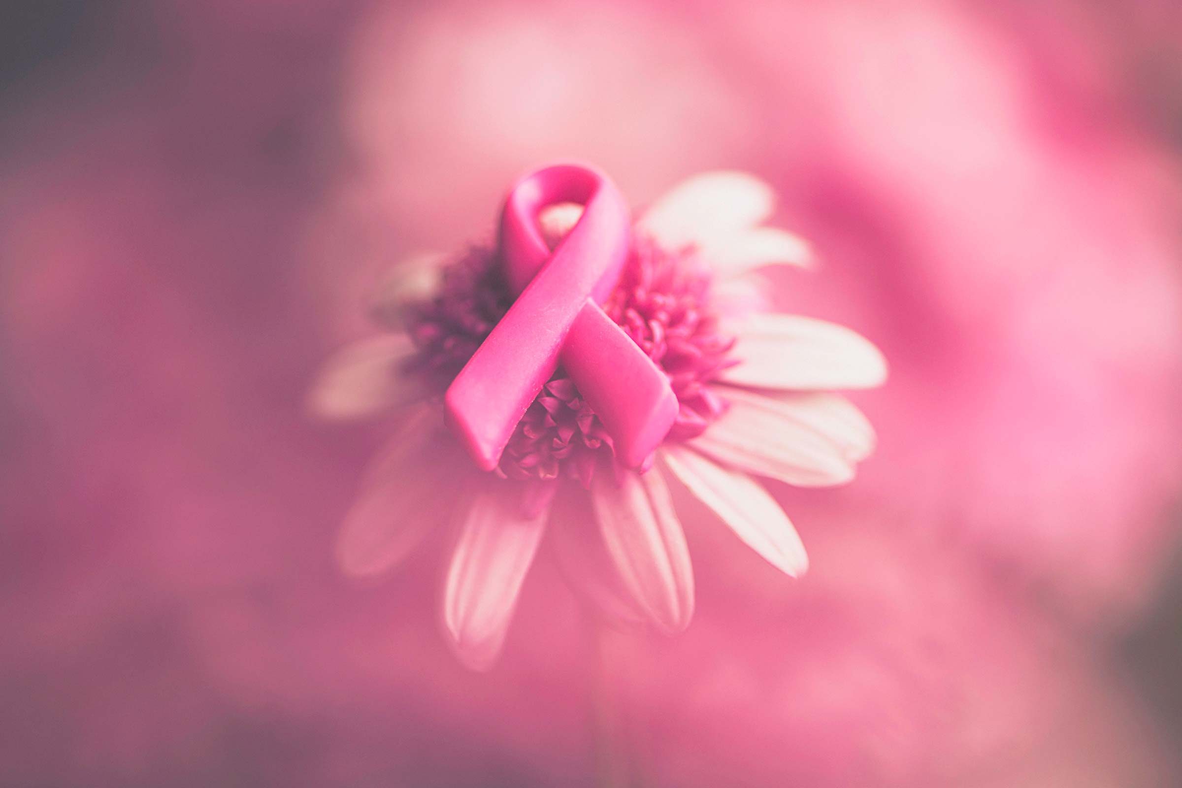 cancer ribbon 