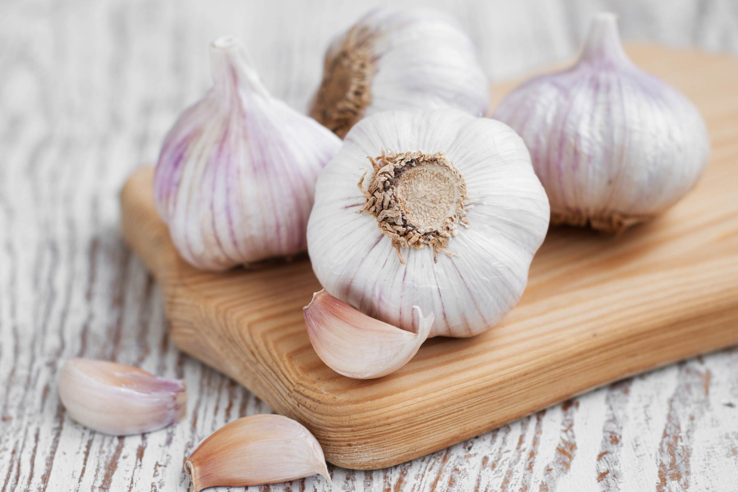 04_Garlic_Immune_boosting_foods_