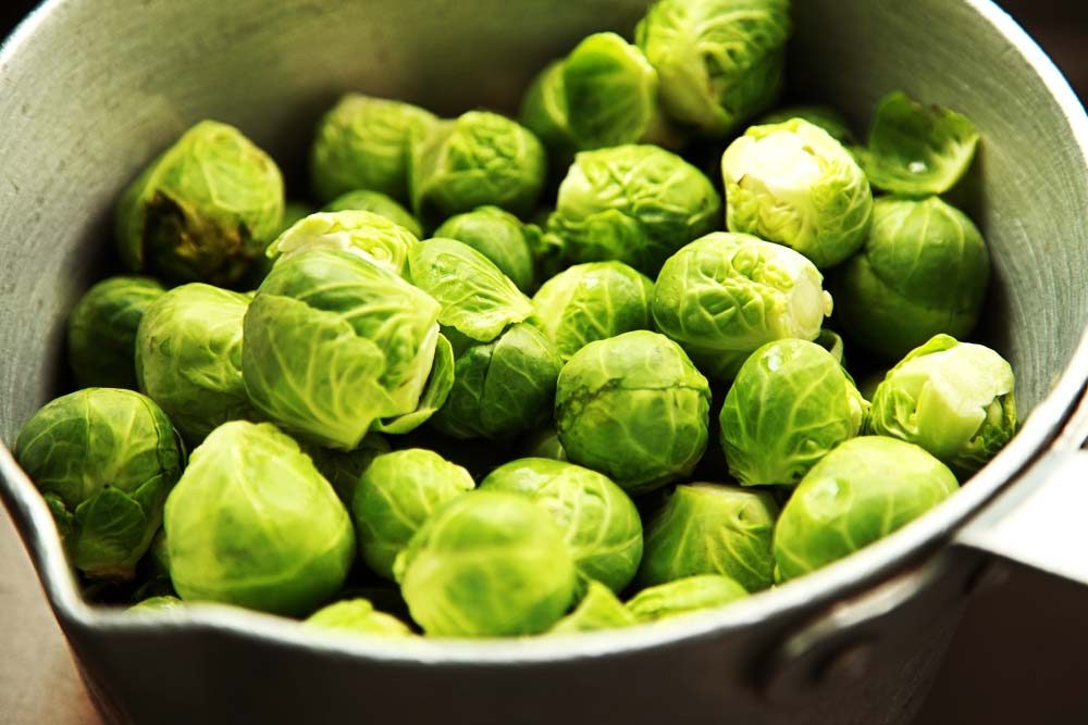 brussel-sprouts