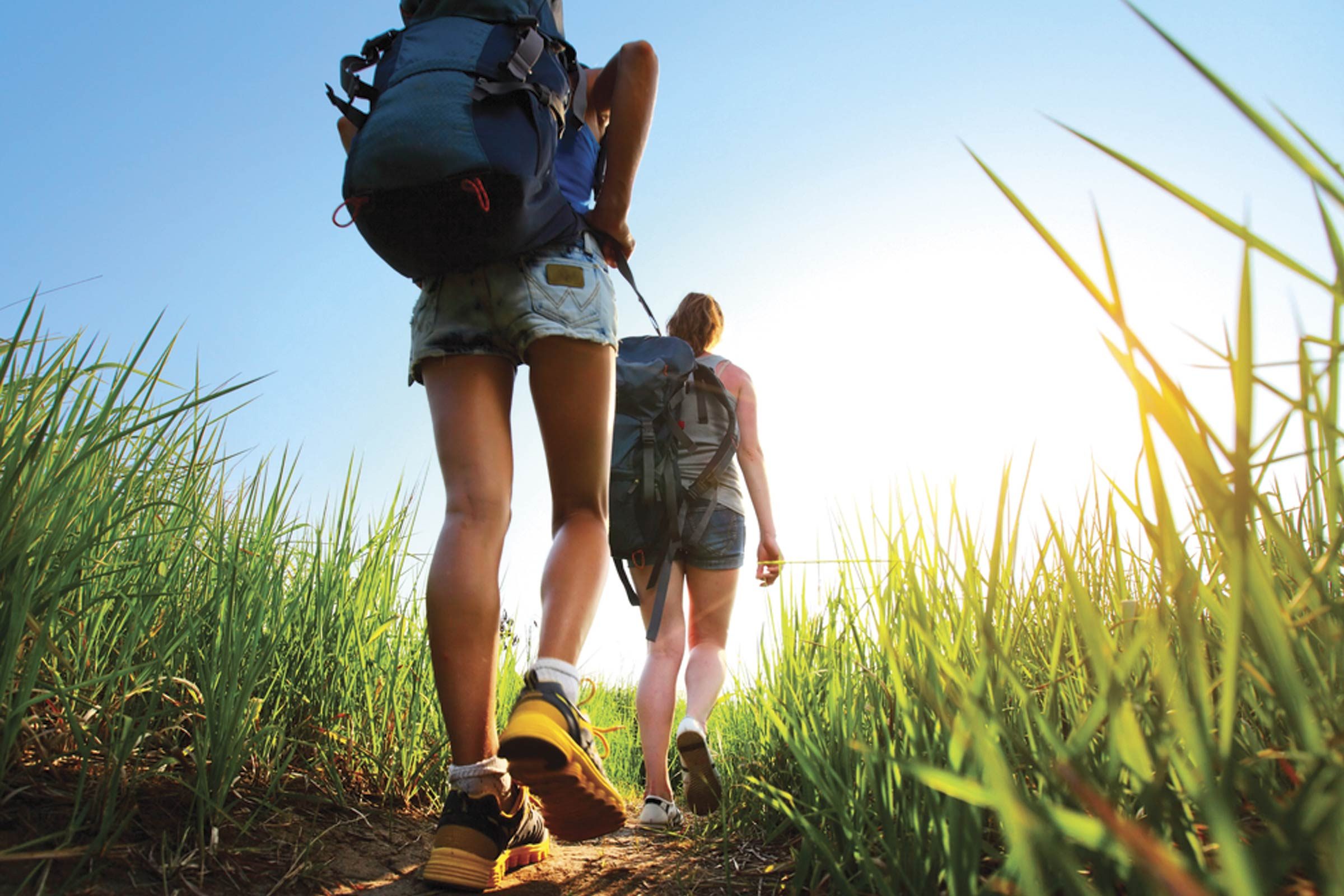 hikers in sunshine and grass