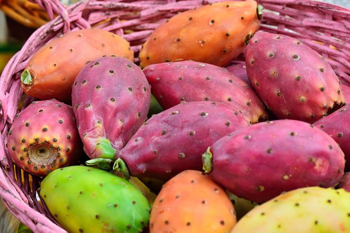 prickly pear cactus in a basket
