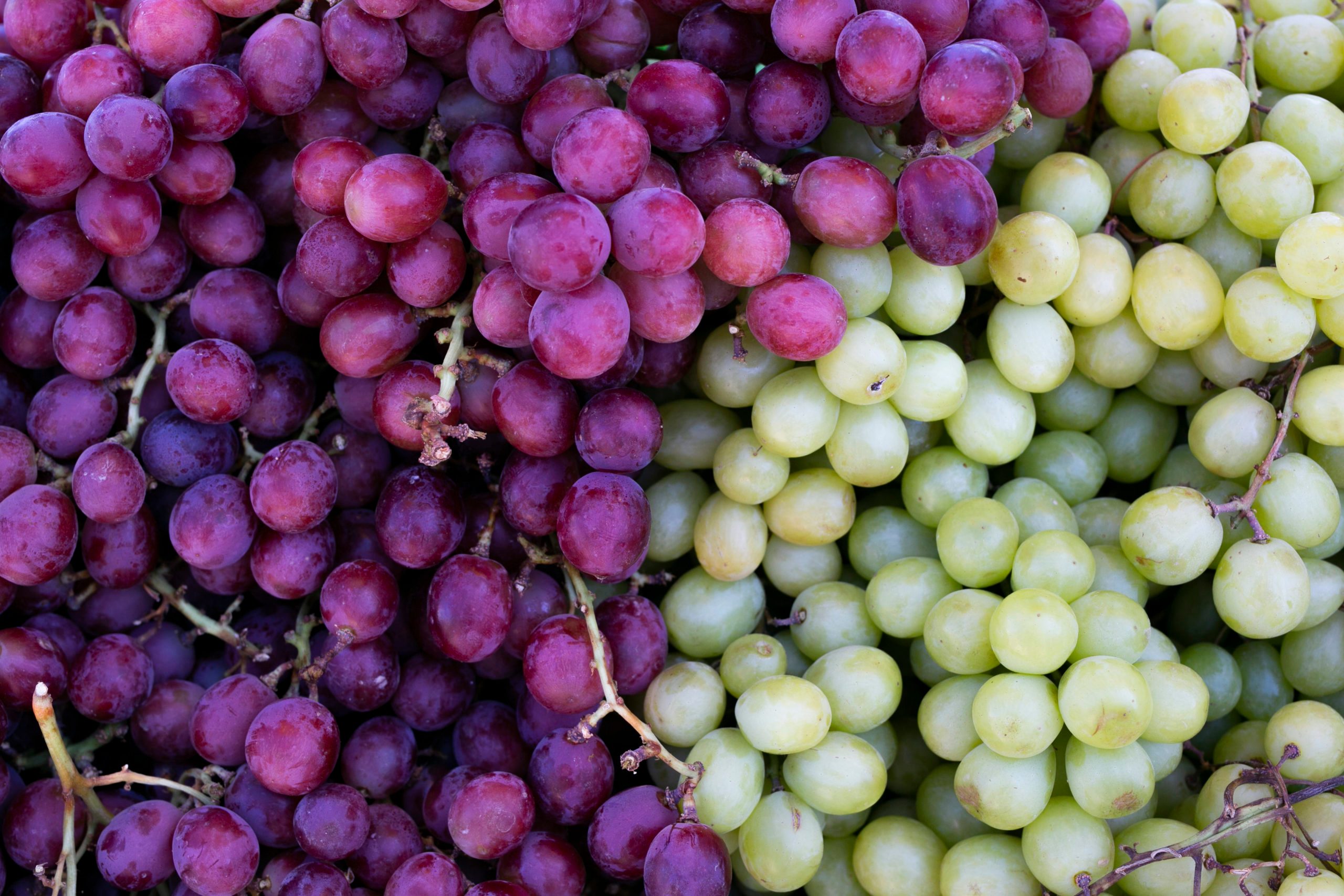 purple and green grapes full frame