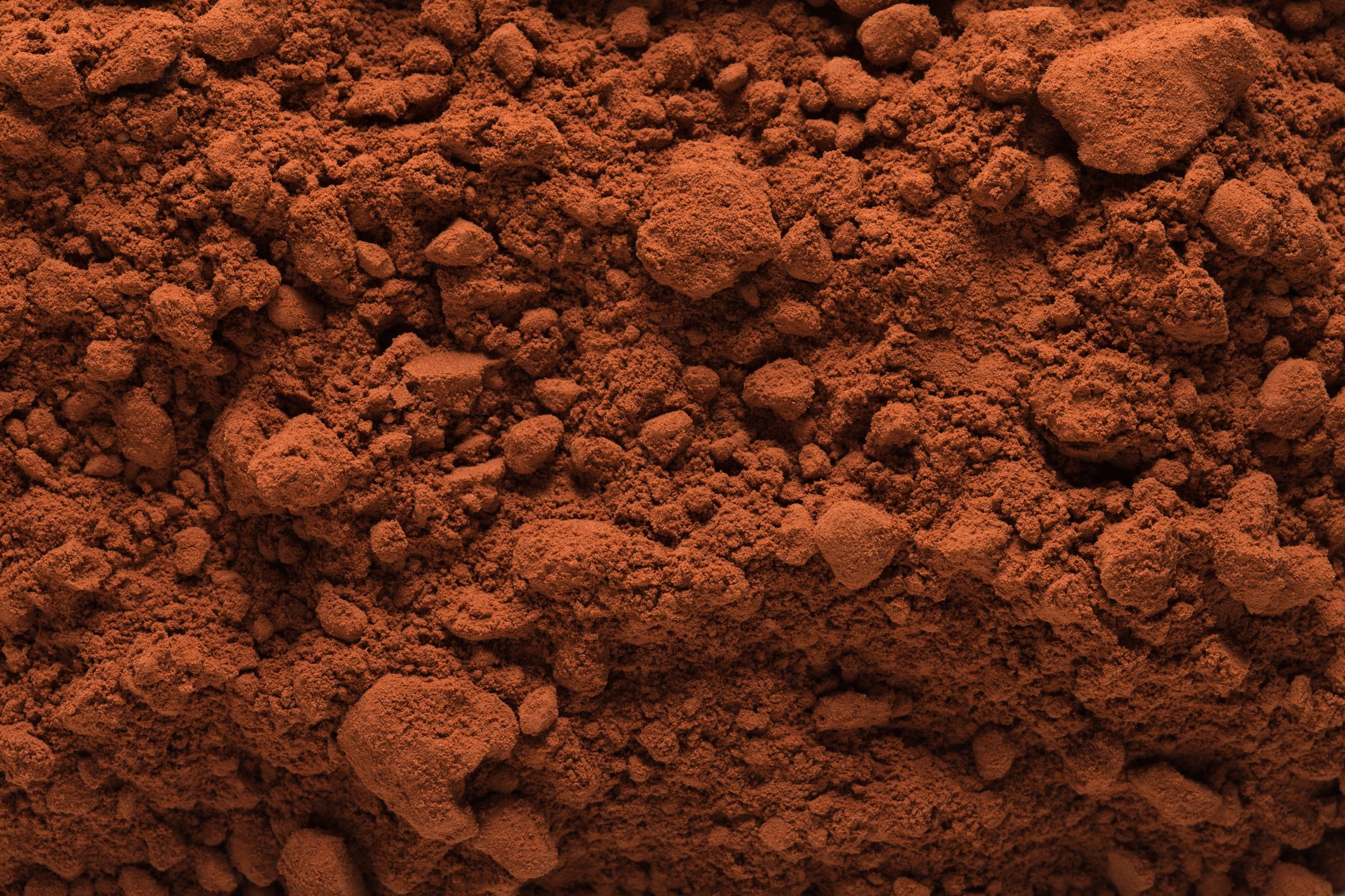 cocoa/cacao powder full frame