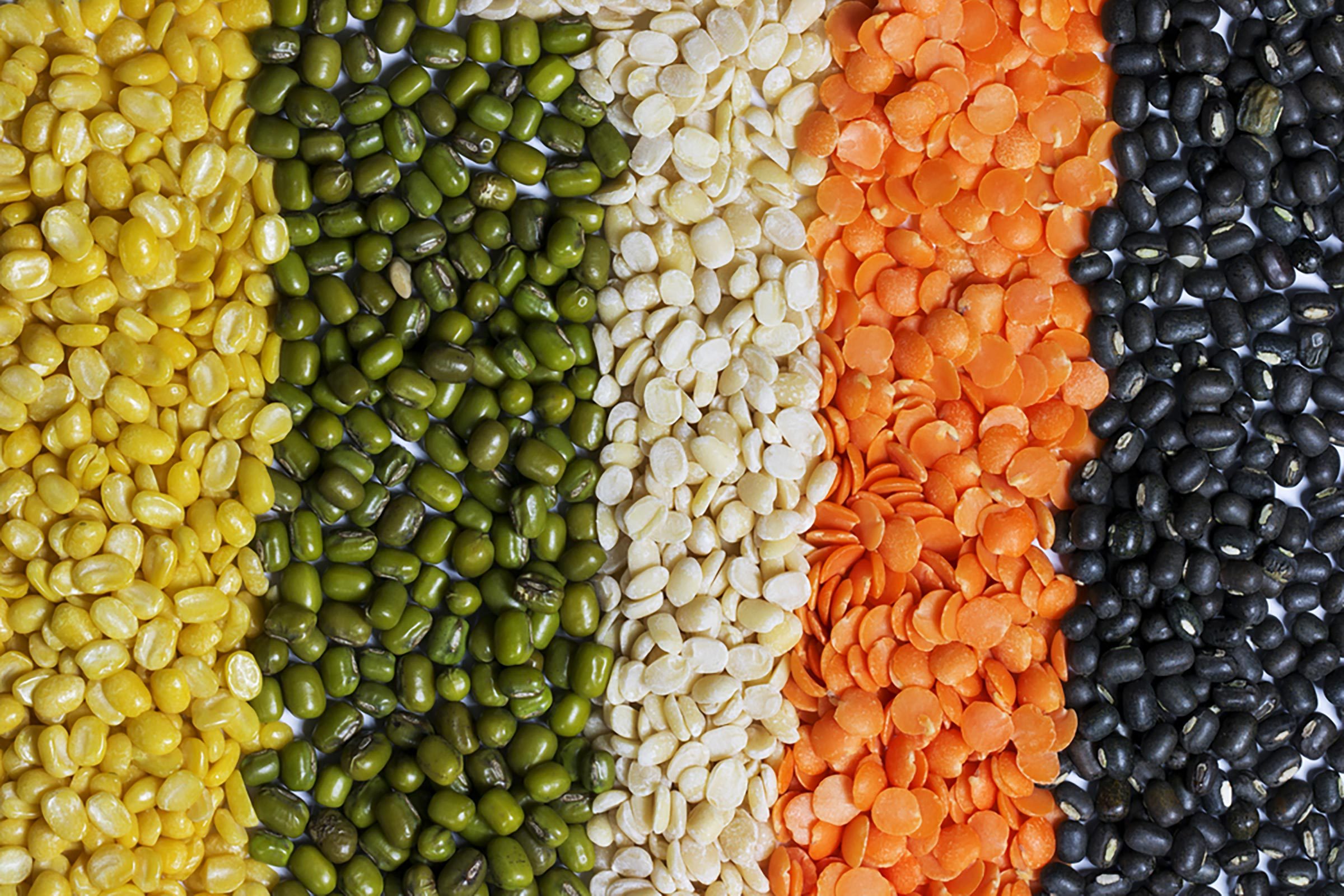 different legumes including lentils