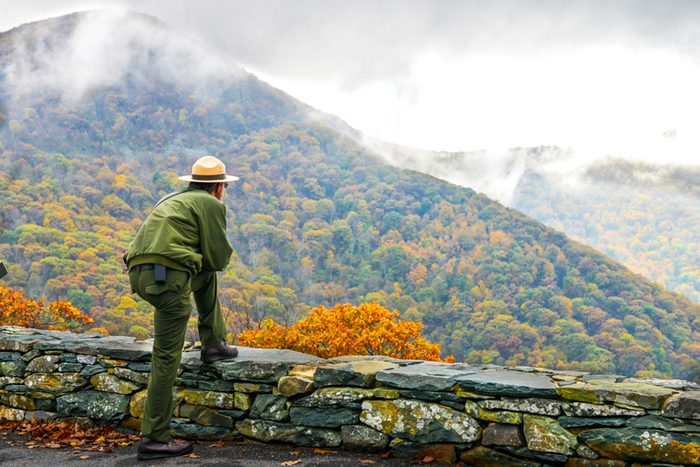 Man looking out at the trees