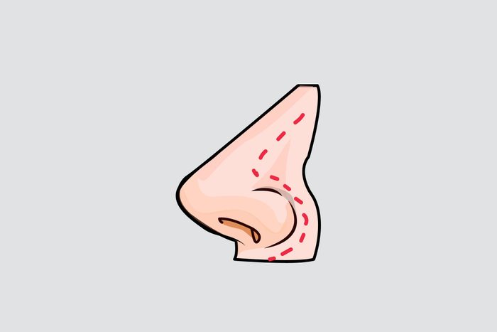 illustration of a nose