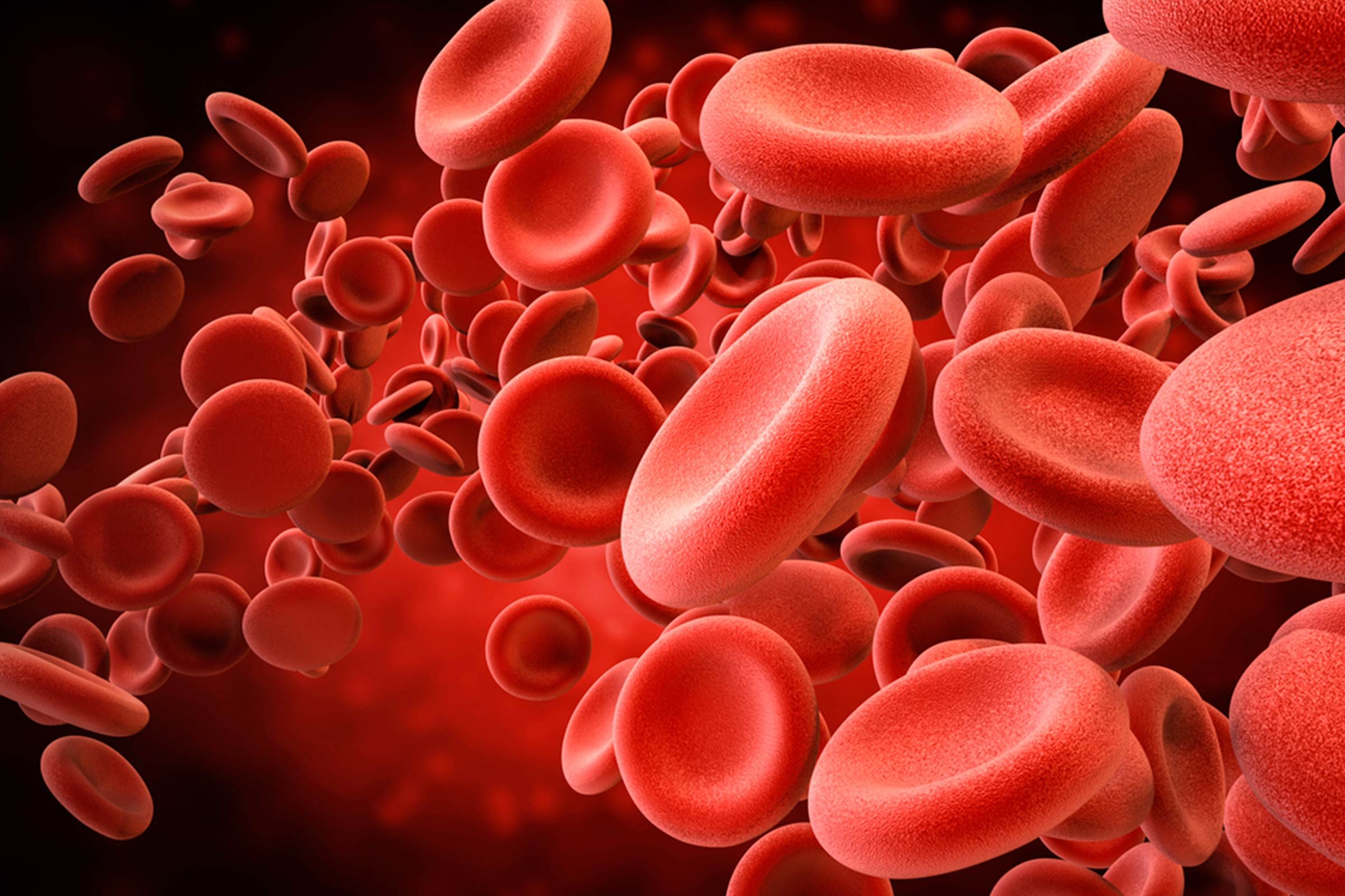 illustration of red blood cells