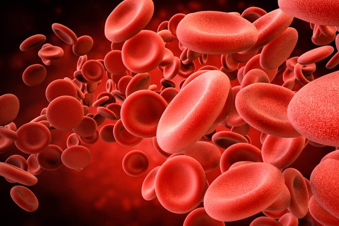 Red blood cells.