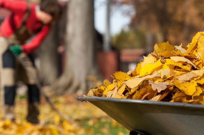 woman raking leaves