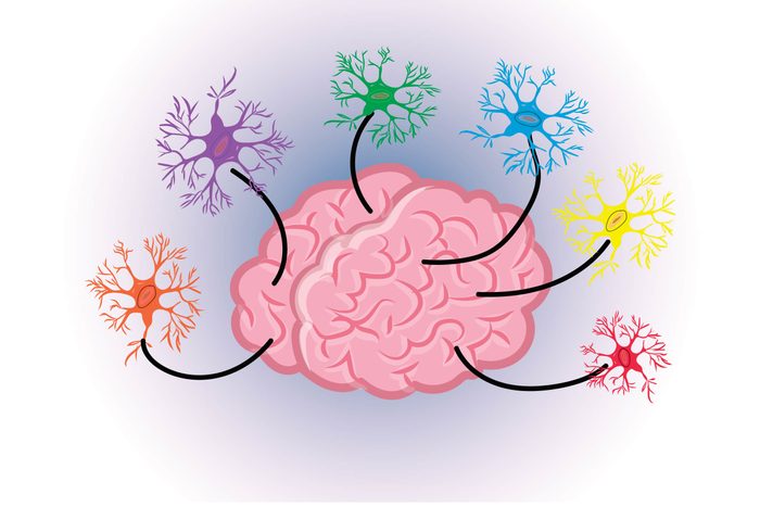 Graphic of human brain with glial cells or neurons emanating