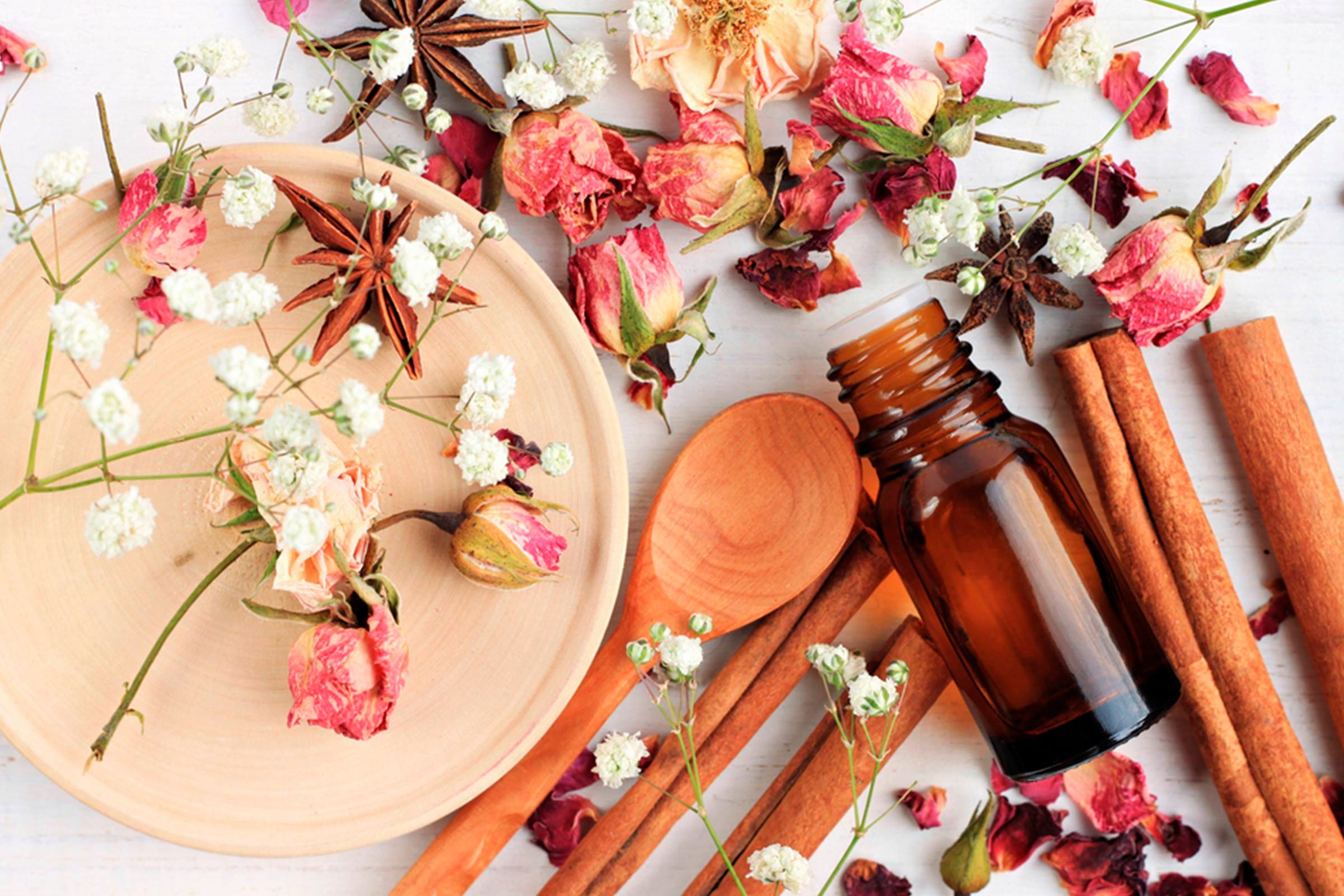 herbs, cinnamon sticks, and dried petals