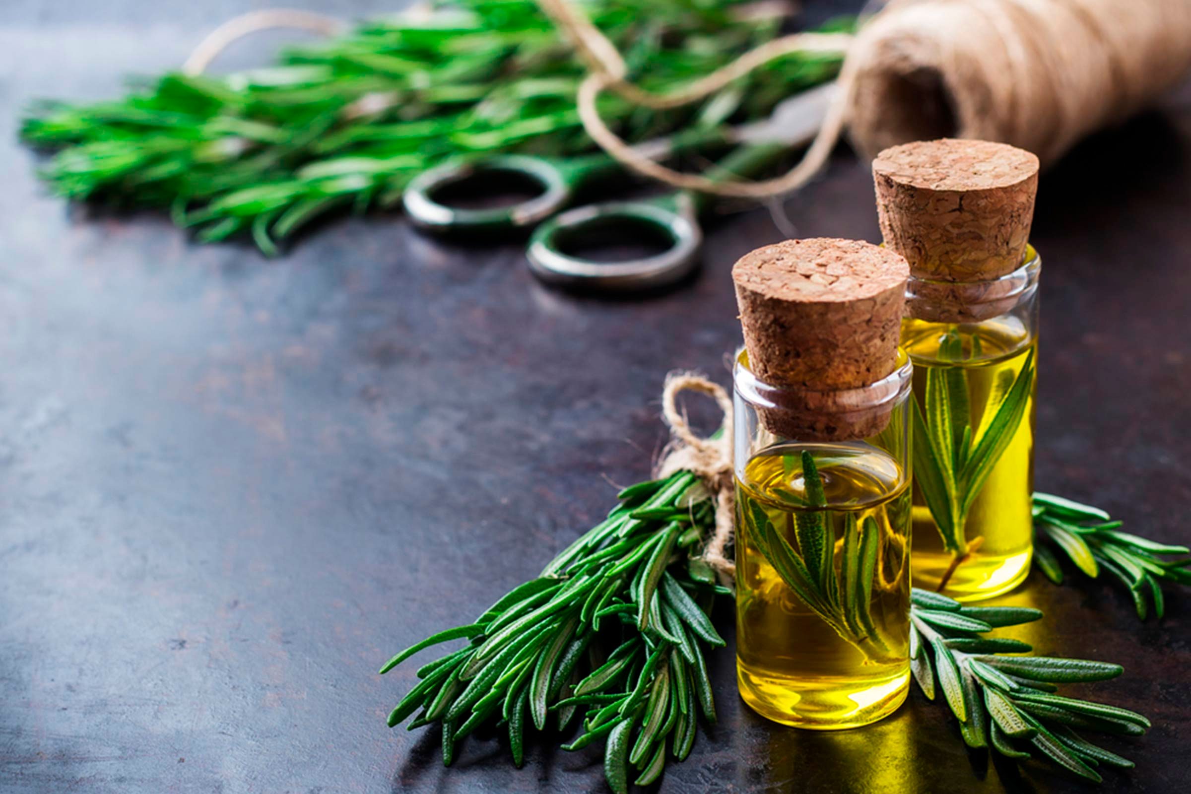 rosemary stems with essential oil bottles