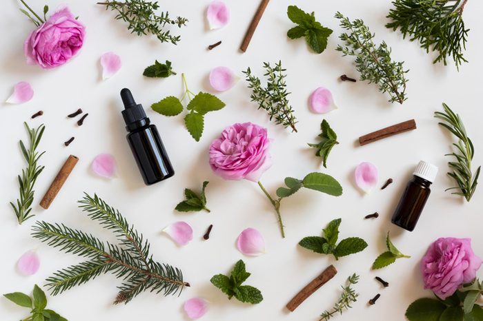 herbs, spices and flowers on a white background