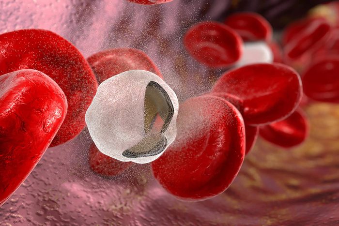 illustration of red and white blood cells