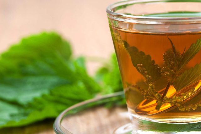 Nettle-Tea