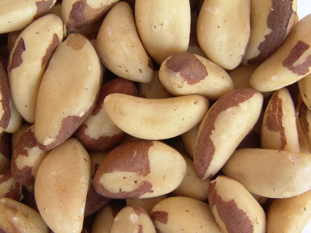 Brazil Nuts 2