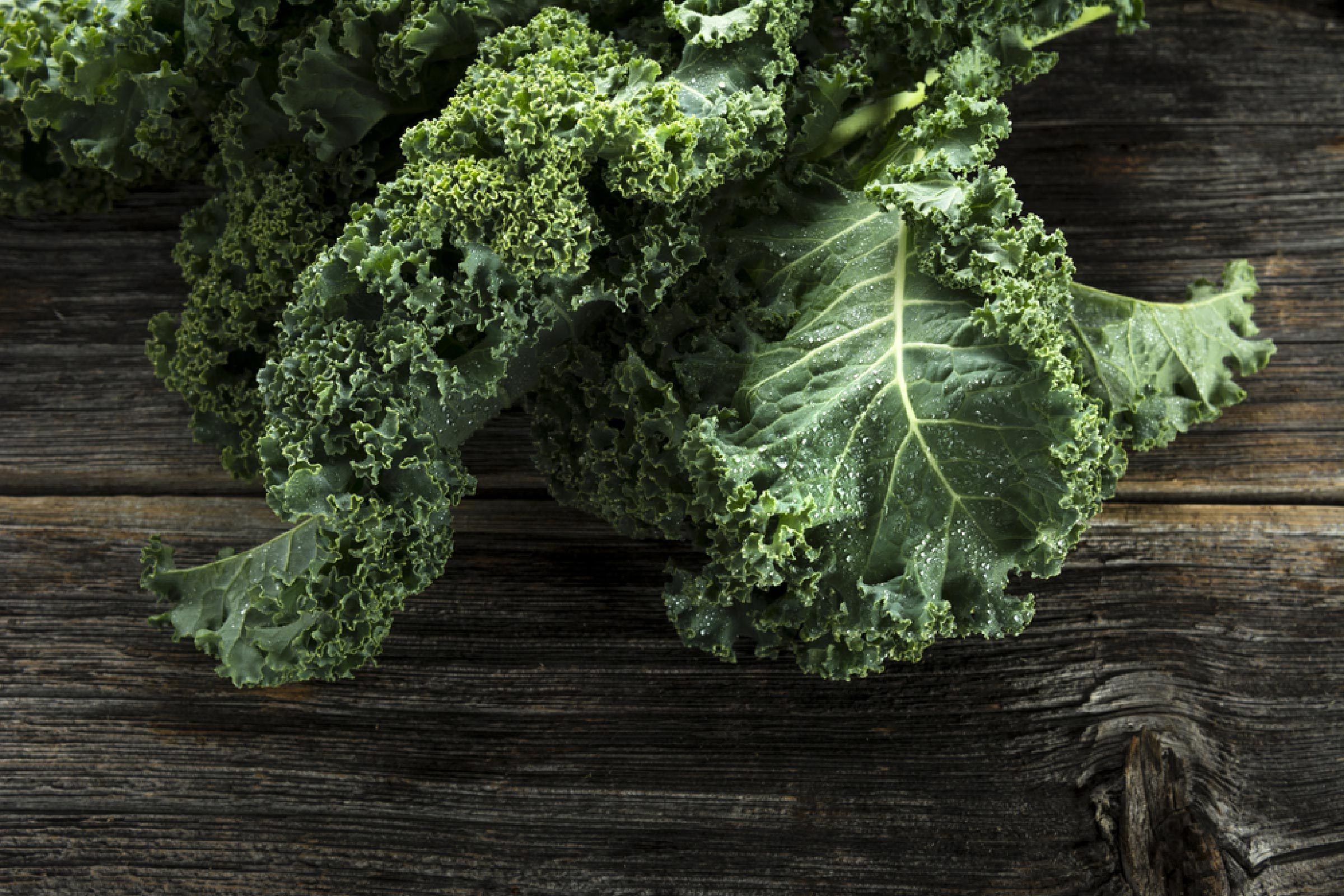 Organic kale with water droplets in closeup