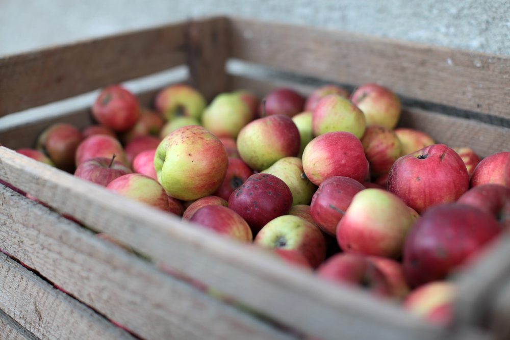 Wooden crate box full of fresh apples