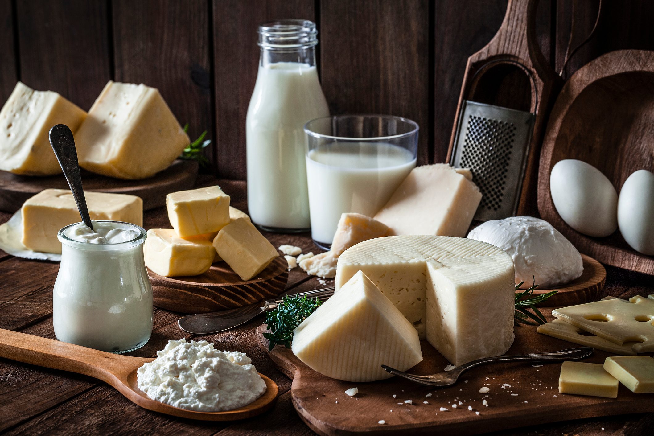 milk and cheese products