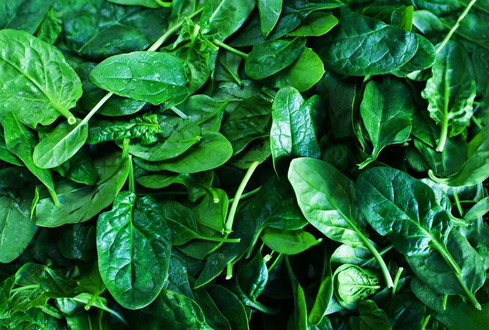 Fresh green baby spinach leaves background close up