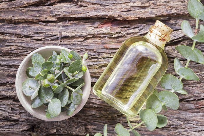 essence and eucalyptus leaves on wood