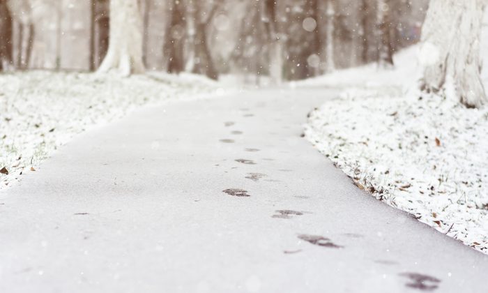 path with snow on the ground