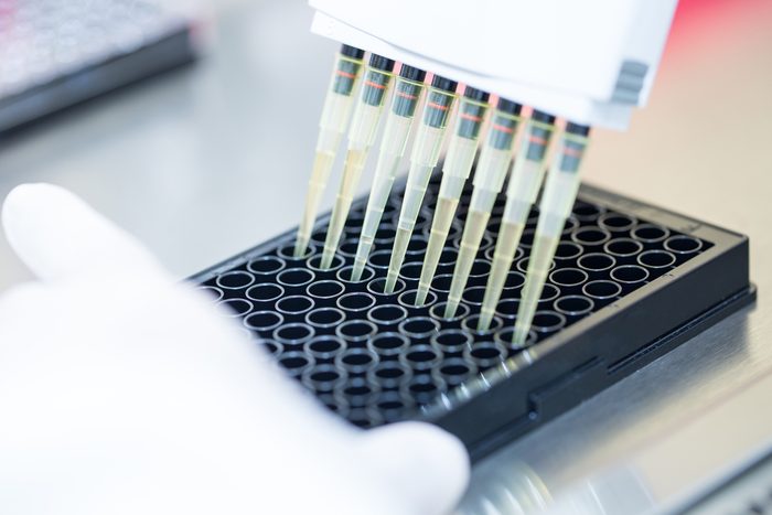 Scientists works with cell cultures under sterile hood