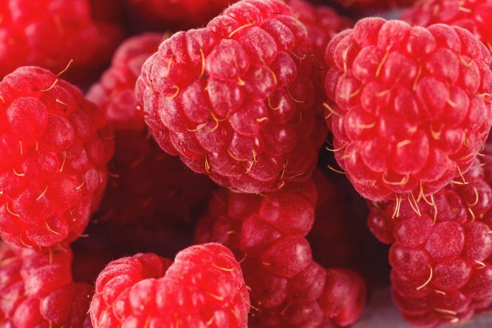 Raspberry on a background of gray cement. Ripe and juicy fresh raspberries. A lot of berries close-up.